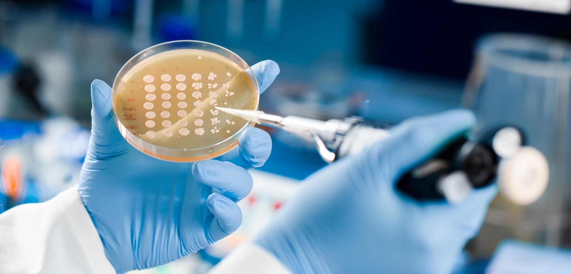 技术创新，成就未来